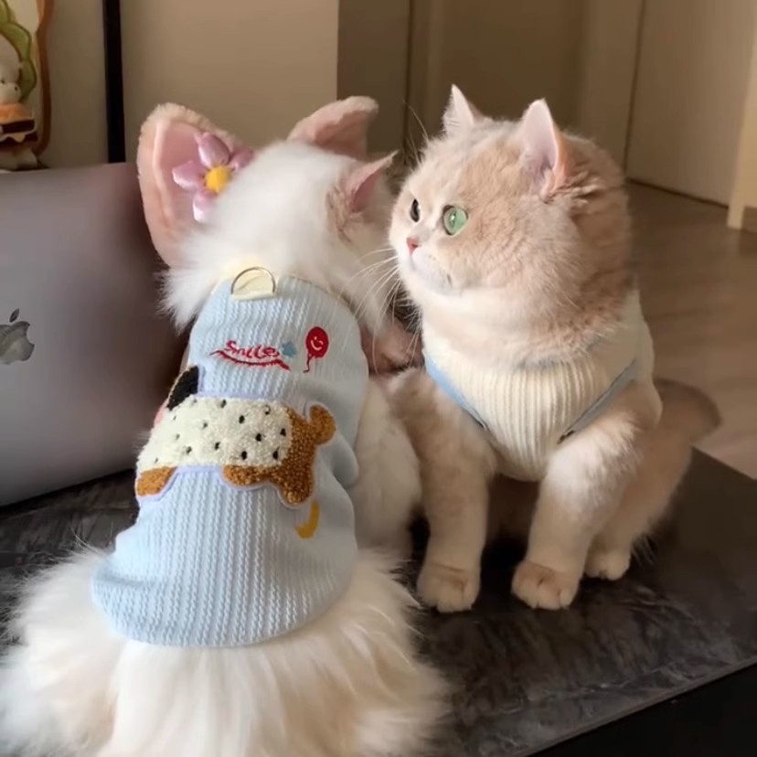 Dog Cooling Vest with D-Ring Dog Tshirt Sun Protection Puppy Clothes for Girls Boys Stretchy Vest for Dogs Breathable Shirt French Bulldog Dachshund C