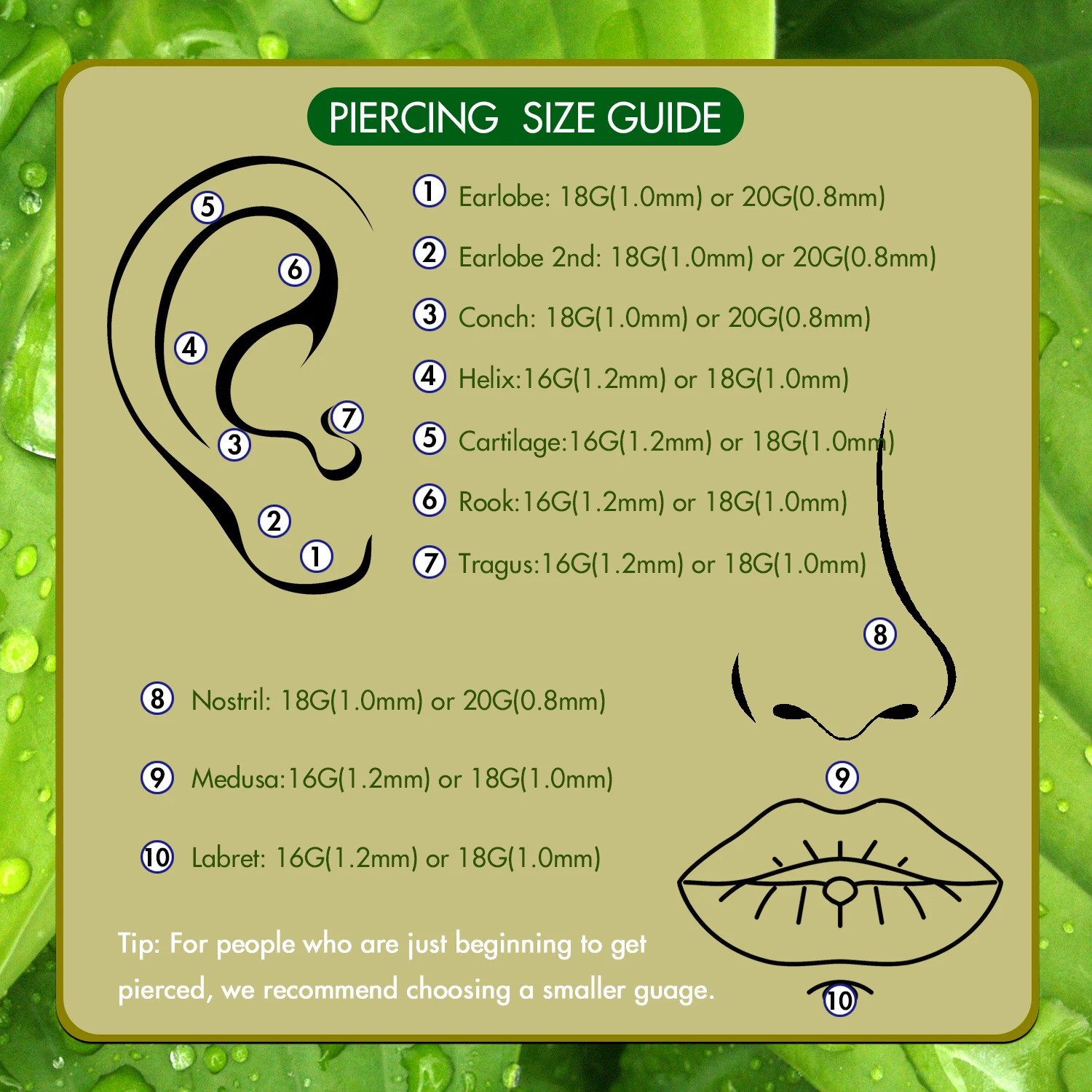 5Pcs Steel Lip Ear Nose Piercing Stud for Women Threadless Labret with 1.5/2/2.5/3/4MM Cubic Zirconia Flat Back 18/20G 250605