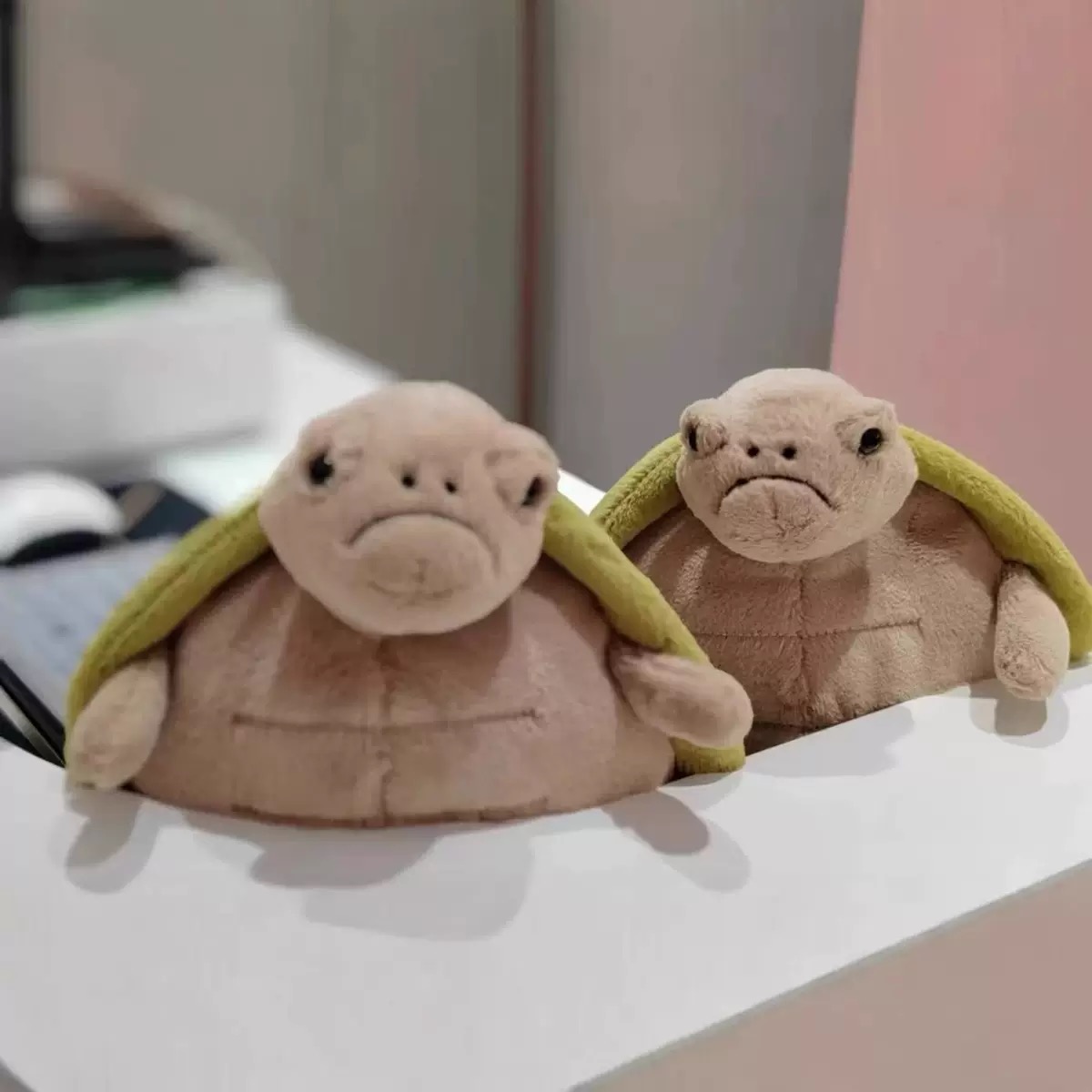 The best-selling Timmy Turtle plush toy can be compressed separately. It is made of soft and comfortable fur fabric.T250528
