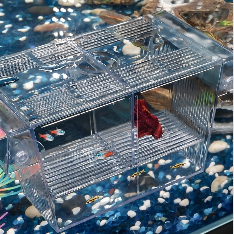 Fish breeding box acrylic fish isolation box with suction cups aquarium incubator suitable for baby fish shrimp clownfish 250530