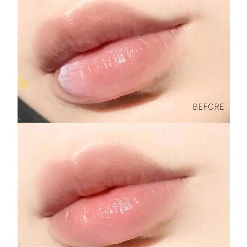 4pcs Natural Plant Whitening Lipstick Base Moisturizing Cream Anti Crack Care Jelly Color Makeup Lip Gloss free shipping