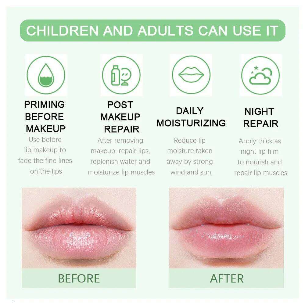 Fruit Balm Winter Fashion Moisturizing Oil Long-Lasting Clear Transparent Natural Aloe Lip Care Lipstick Makeup