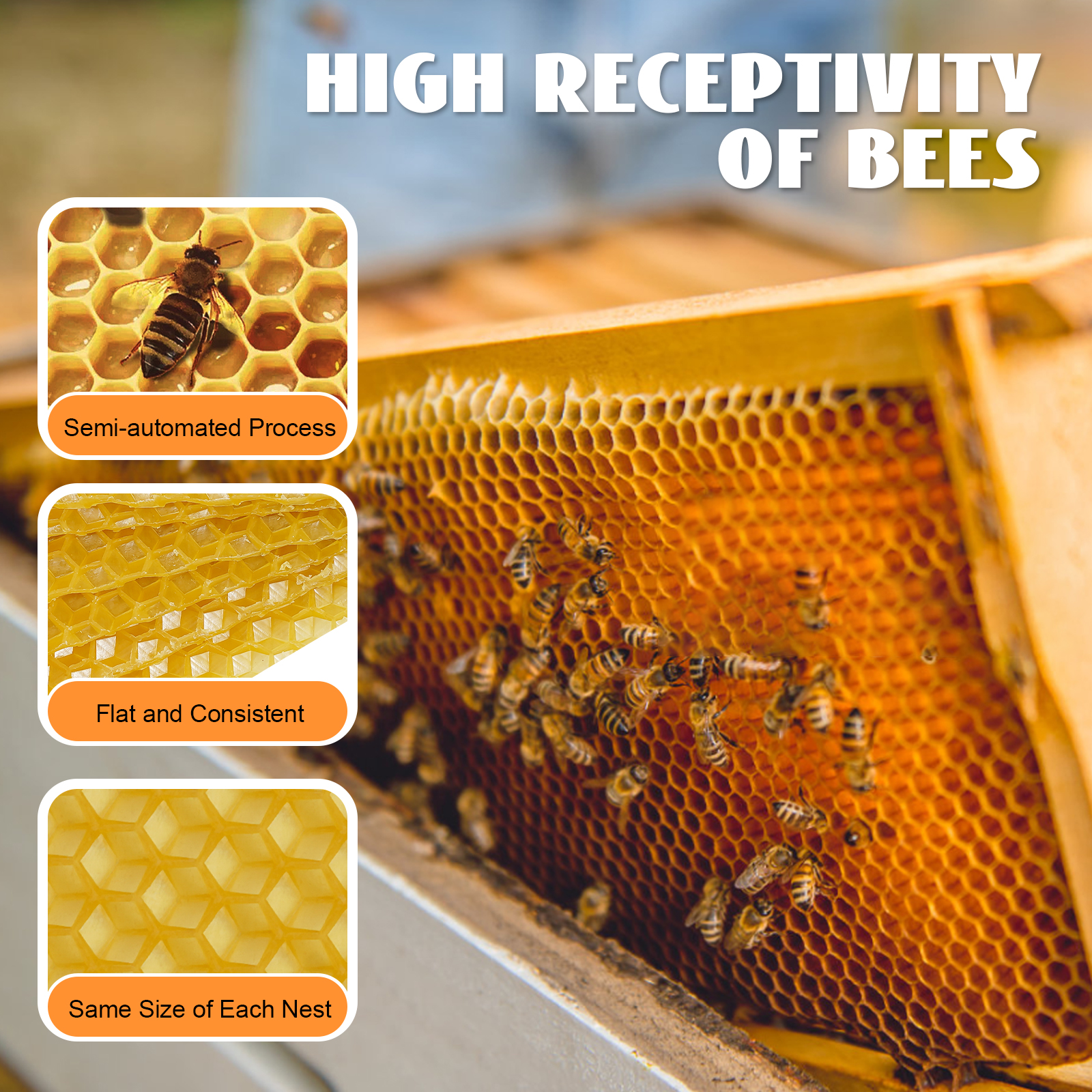 30-Pack Honeycomb Bee Wax Foundations, 195x415mm Standard Hive Frames, Premium Beekeeping Wax Sheets for Honey Production, US Stock (Beekeeping Essent