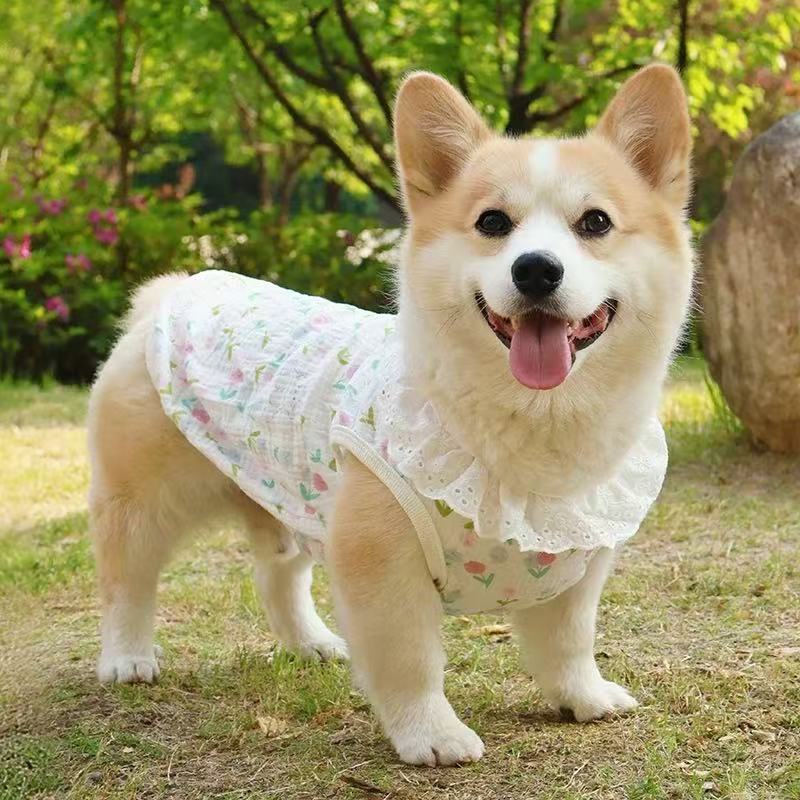 T00406 Shiba Inu Corgi Dachshund dog cool clothes spring and summer thin vest cute and beautiful anti-hair loss anti-dirty sunscreen