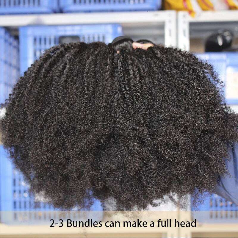 Mongolian Afro Kinky Curly Natural Raw Human Bundles With Closure 4B 4C Extension Weave Weft Hair For Blacks