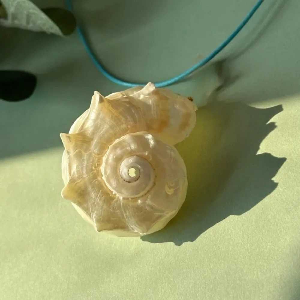 Natural Shell Conch Pendant Necklace Womens Summer Beach Jewelry Gift Y250605