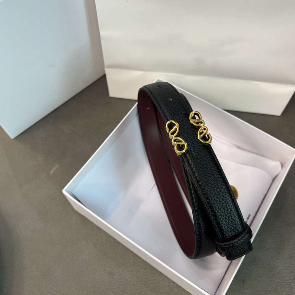 belts designer s belt Soli d color for women out of the ordinary Vintage Pin needle Buckle Belts s 5colors Width 2.5 cm siz e 100-110cm Simplicity Casual fashion