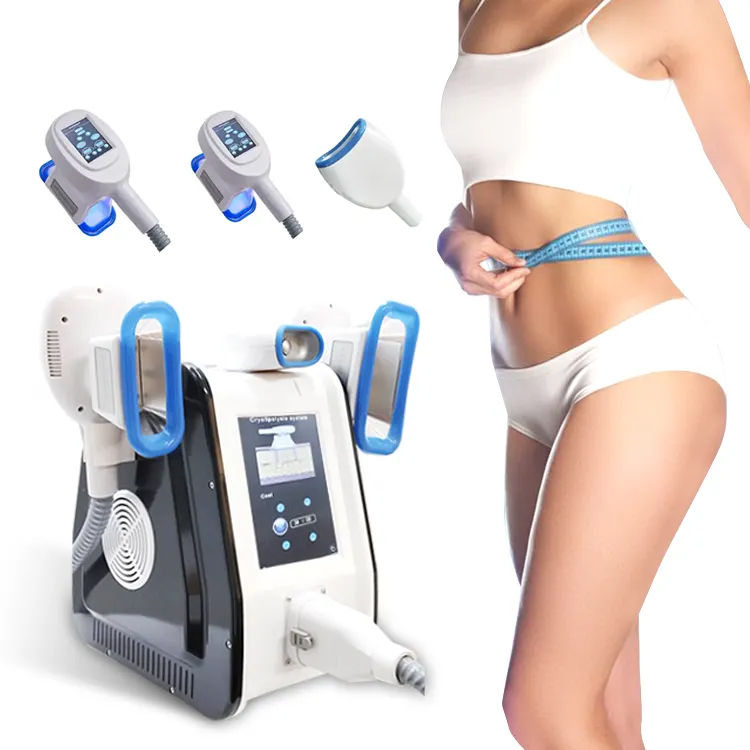 Newest Fat Freezing Machine for Sale Cryolipolysis Machine With 3 Handles Cryo Slimming Machine for Weight Loss