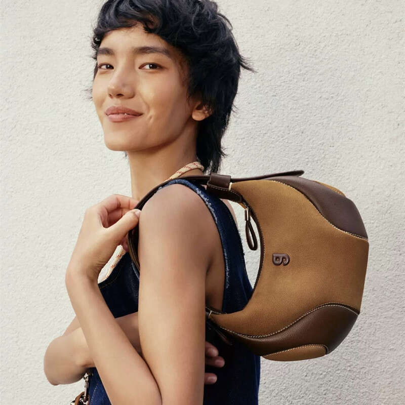 2025 Small New Crescent Niche Crossbody Bag for Women