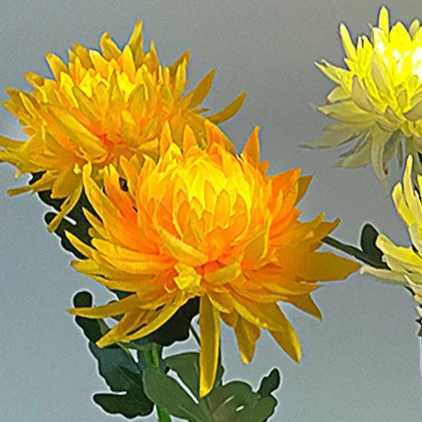 Solar Garden Lamp Solar Flowers Lights Solar Powered Chrysanthemum LED Lawn Light Outdoor Garden Decor Perfect for Yard FenceXJ250606