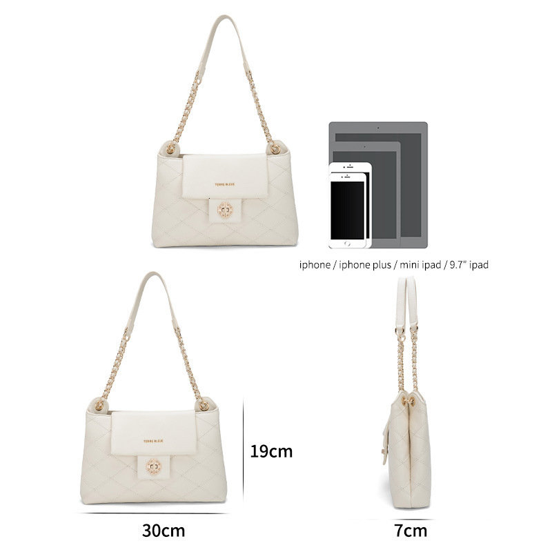Free Shipping 2025 Spring Luxury Women's Handbag New High-quality Texture Chain Crossbody Bag Women's Designer Bags Light Luxury Early Sprin