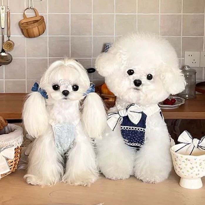 Dog Strap Dress for Small Dogs Girl, Puppy Sleeveless Clothes Pet Pullover Vest Skirt, Exquisite Embroidery, Breathable Bow Dress for Puppy Medium Dog