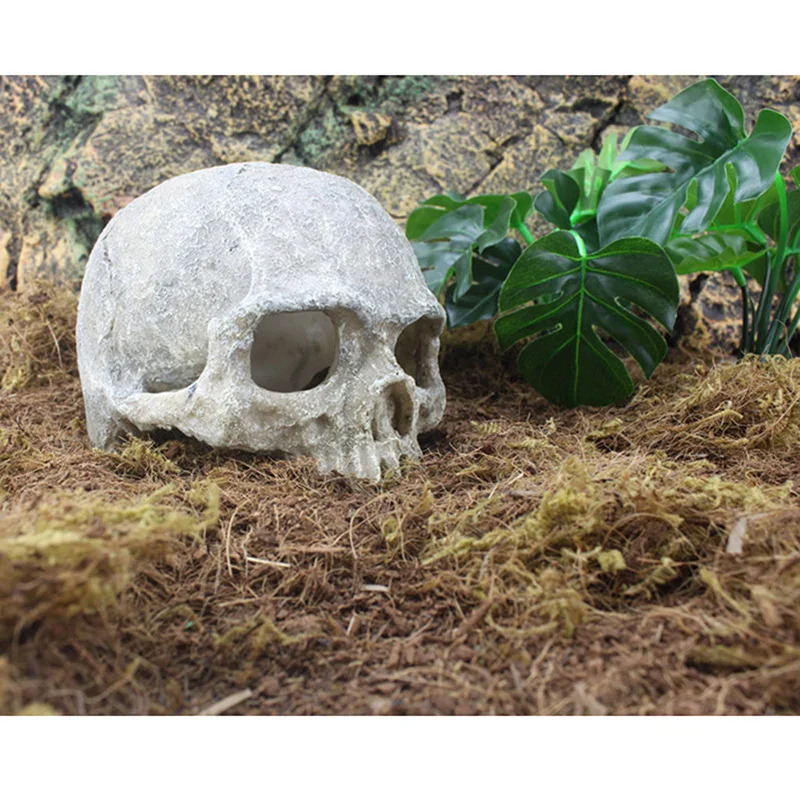 Resin Head Bone Skull Statue for Lizards Terrarium Reptile Hide Cave Aquarium Fish Tank Landscape Miniature Decor Ornament 250604