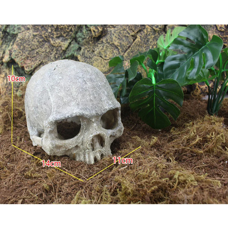 Resin Head Bone Skull Statue for Lizards Terrarium Reptile Hide Cave Aquarium Fish Tank Landscape Miniature Decor Ornament 250604