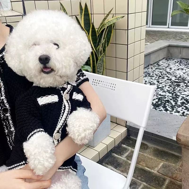 T00403 Korean version of JK sweater two-piece dog clothes Teddy Bichon Pomeranian small puppy cat pet spring and autumn thin section