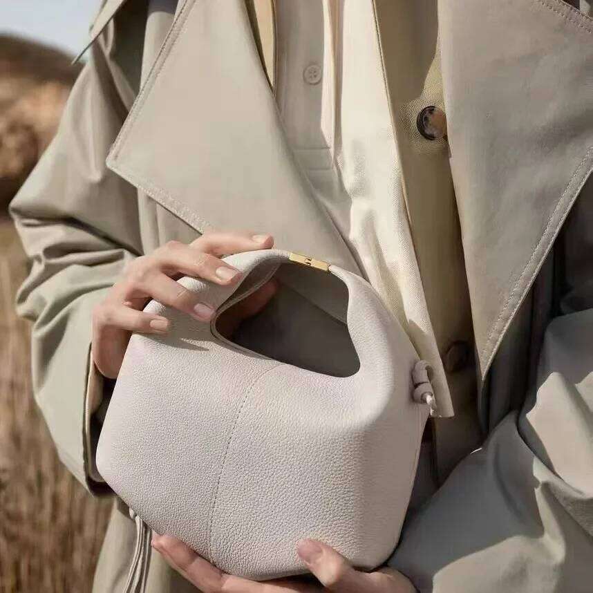 High-End FeelNicheDesign Women's Tote New Single Shoulder Slant Cross Lunch Box Bag Autumn/Winter Best Seller