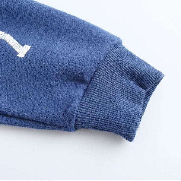 Women's Stand Collar Zip-Up Casual Sweatshirt - Retro Blue Fashion with Moderate Thickness for Spring/Autumn