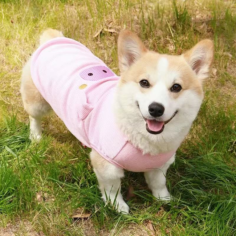 T00409 Cotton soft solid color base bow embroidered T-shirt cat dog Bichon Yorkshire pet clothes