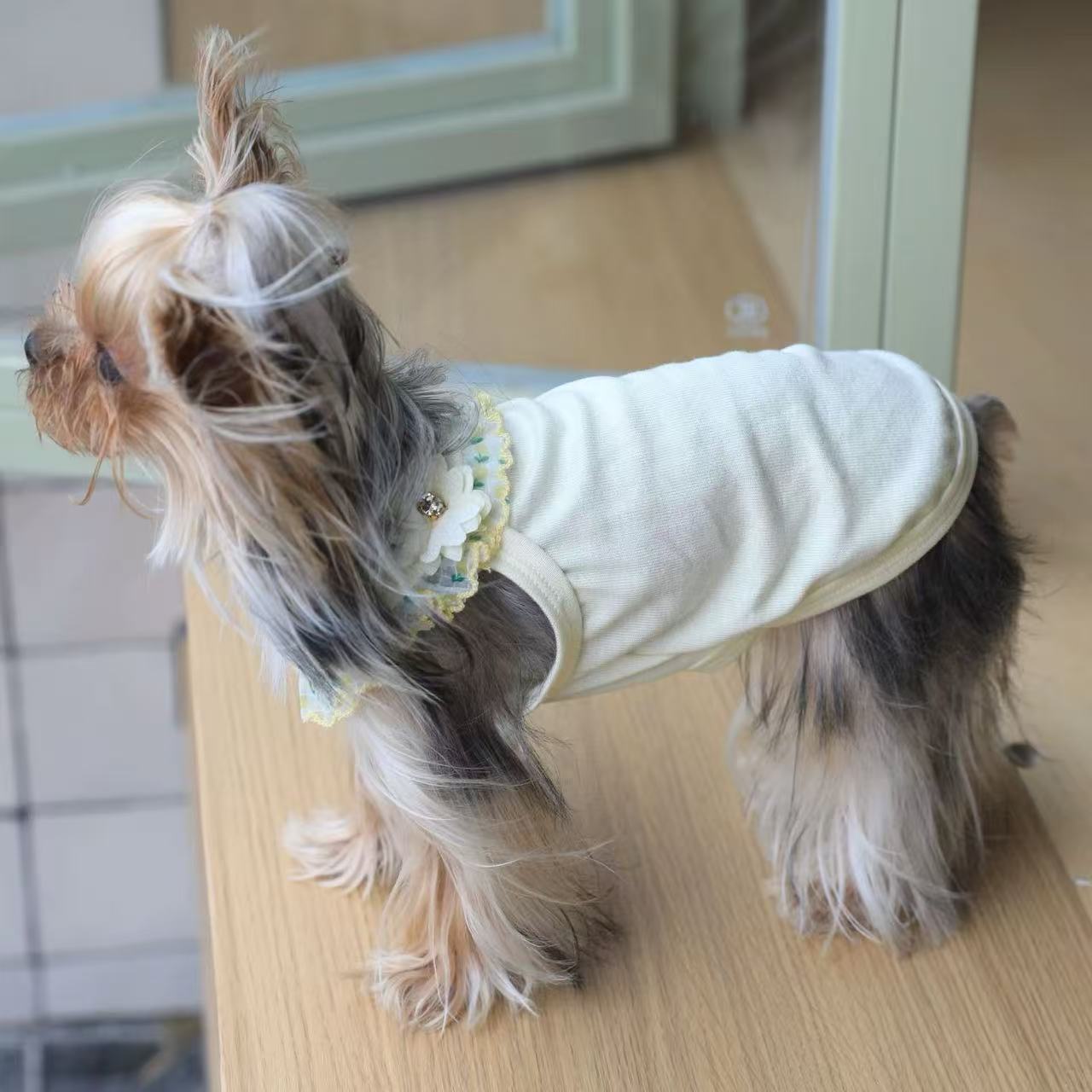 T00412 Dog bottoming shirt cream stripes sweet puff sleeves cat cute velvet baby cotton small body Yorkshire clothes