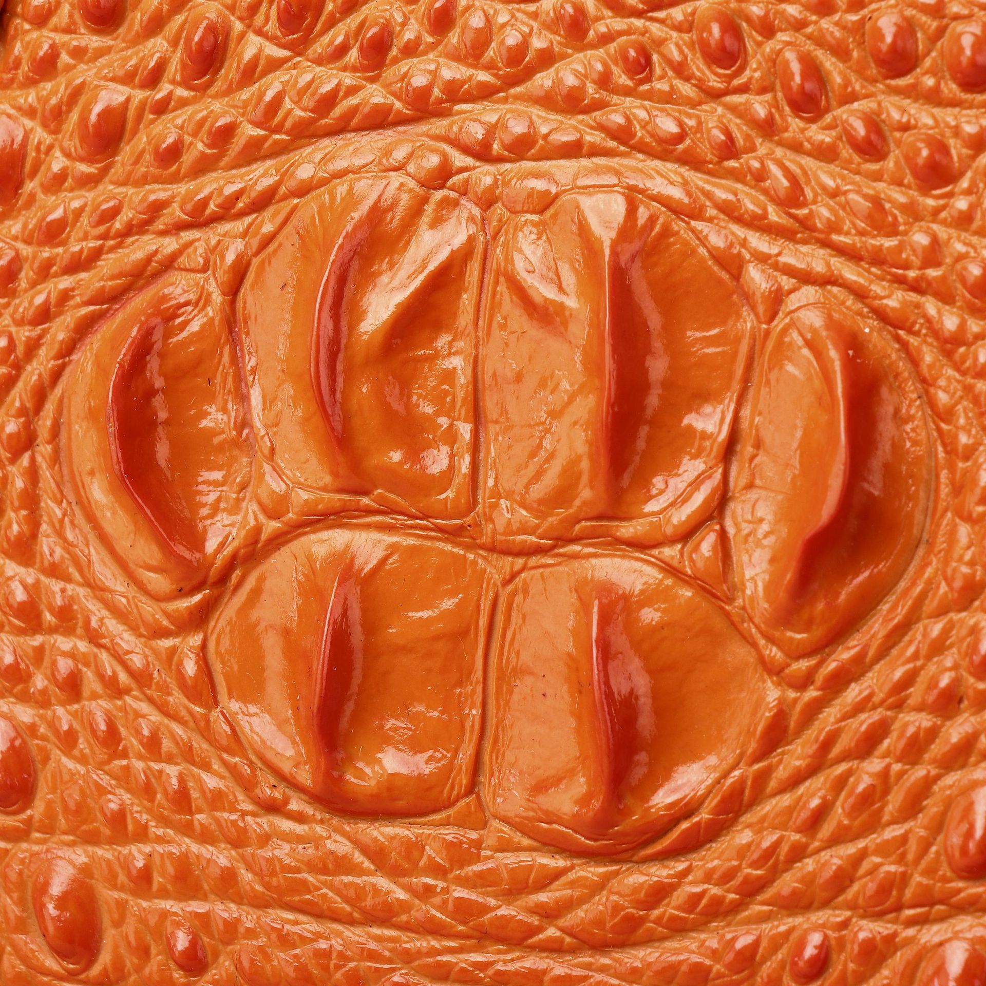 New Free Delivery Designer Bag Crocodile Pattern Bag Classic Fashion Handbag Shoulder Crossbody Women's Bag High-end Women's Bag New Free De