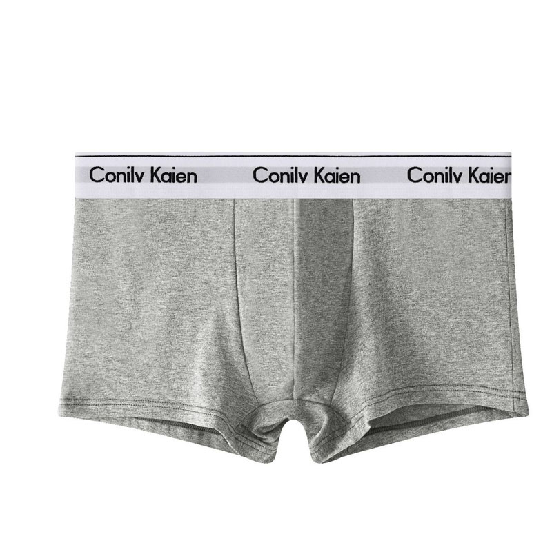 New Men's Underwear Cotton Briefs Breathable Large-Sized Boxer Underwear For Young Men Factory Direct Sales 2025