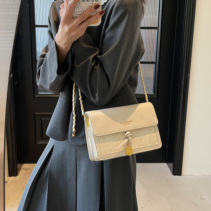 designer Niche Women's Bag 2025 New Spring Summer Fashion Simple Versatile Chain Crossbody Underarm Bag Commuter Small Square Bag