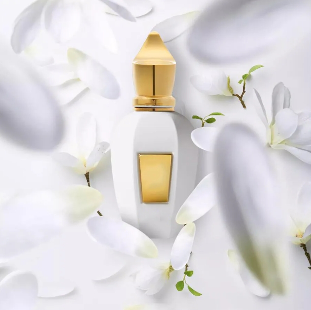 xerjoff naxos perfume Elle Anniversary cologne IOMMI NRORIO Lira Mefisto Perfume Fragrance Eau De Parfum Long Lasting Smell EDP Men Women Cor