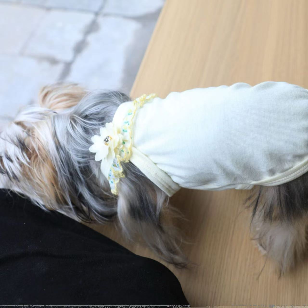 T00412 Dog bottoming shirt cream stripes sweet puff sleeves cat cute velvet baby cotton small body Yorkshire clothes