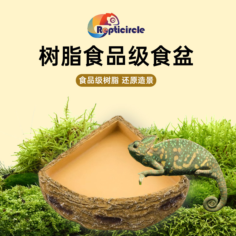 Eco-Friendly Aquatic Accessory for Tropical Rainforest Pets Clear Vessel Drinkery