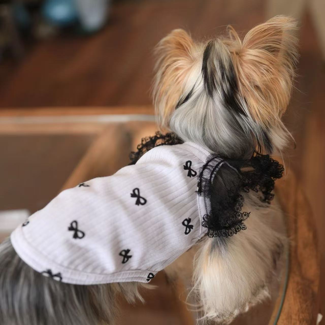 T00413 Pet sweater dress Malta Bichon small dog dog spring clothes