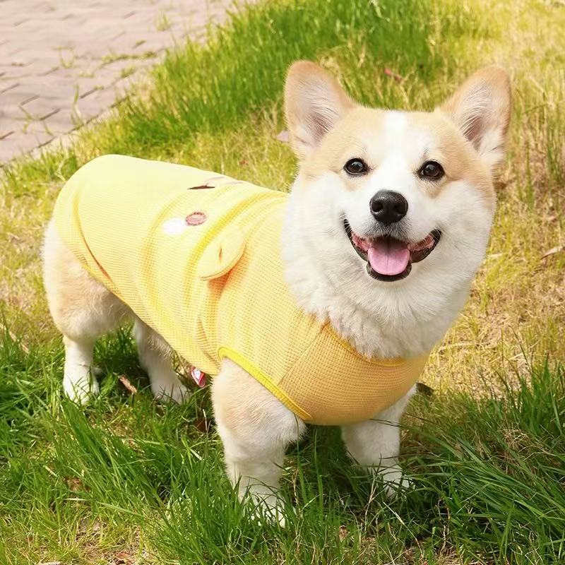 T00409 Cotton soft solid color base bow embroidered T-shirt cat dog Bichon Yorkshire pet clothes