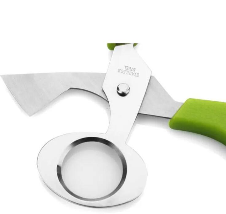 Stainless Steel Pigeon Quail Egg Shells Scissors Bird Cutter Opener Egg Slicers Cigar Cutter Kitchen Tool Clipper Z 6.6-9
