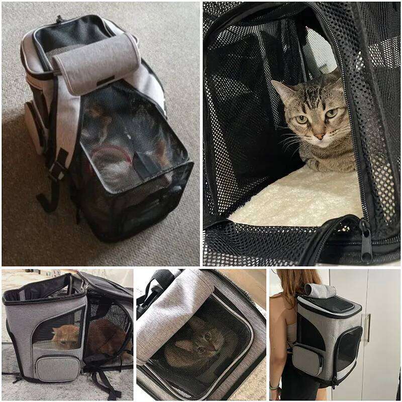 Designer Bag Breathable Cat Backpack Foldable Pet Carrier Transport Travel Bag Expandable Large Capacity Creative For Cats Dogs
