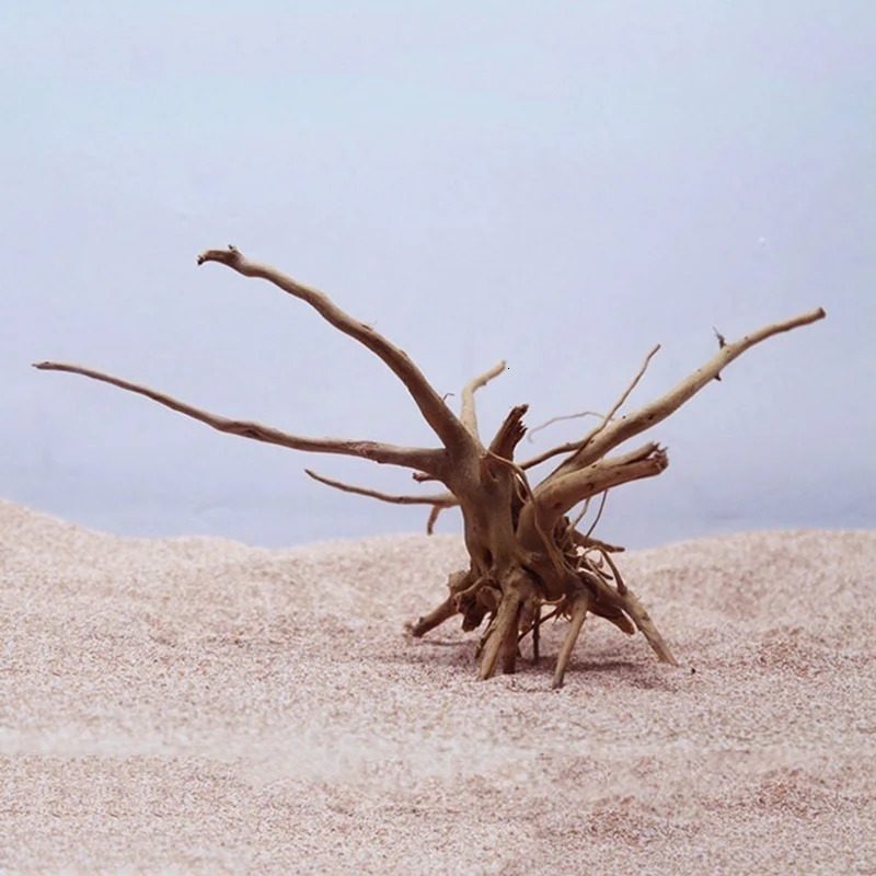 Natural Tree Trunk Driftwood Aquarium Fish Tank Reptile Cylinder Making Roots Plant Wood Decoration Ornament Aquarium Plants 250604