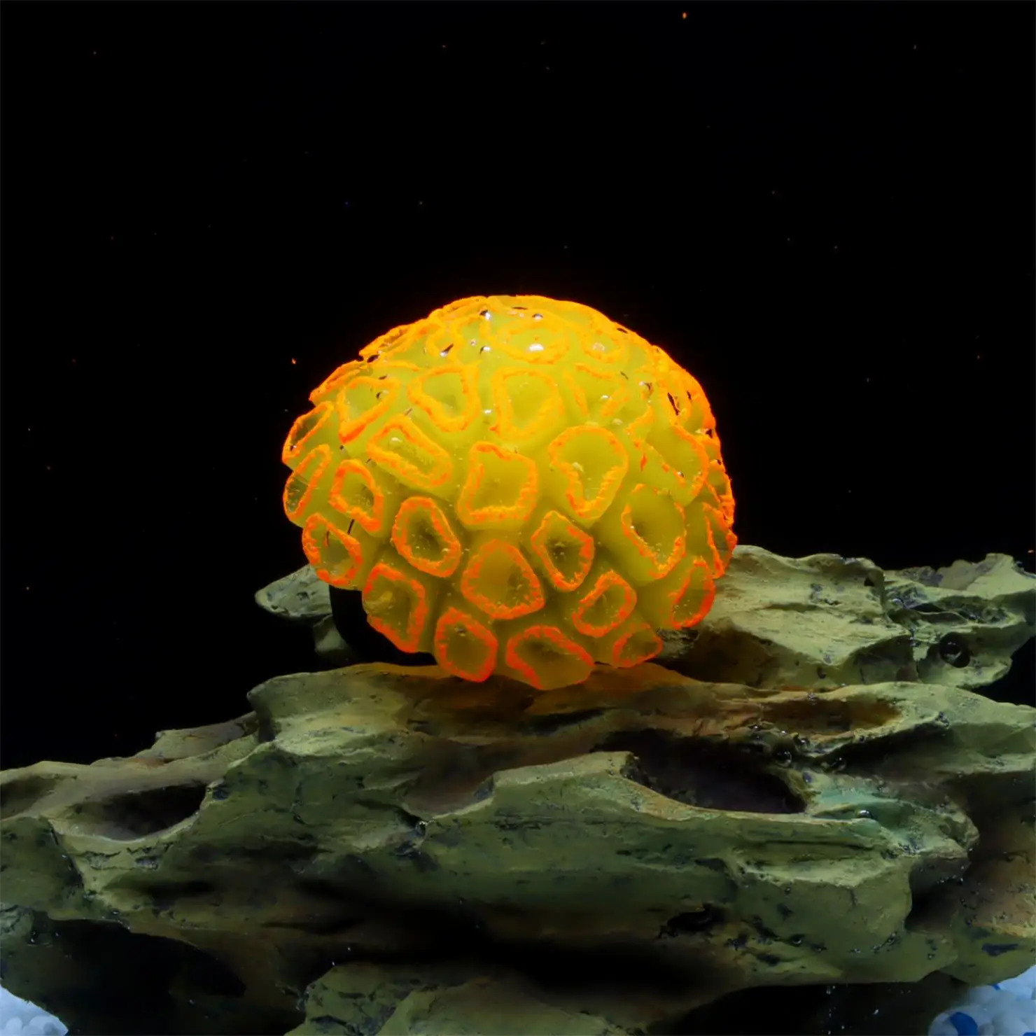 1 Piece istic Fluorescent Brain Coral Decoration - Vibrant Glowing Artificial Coral Decoration for Aquarium Fish Tank - 250604