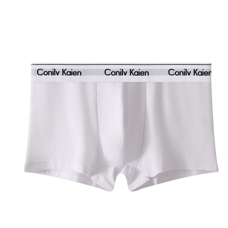 New Men's Underwear Cotton Briefs Breathable Large-Sized Boxer Underwear For Young Men Factory Direct Sales 2025