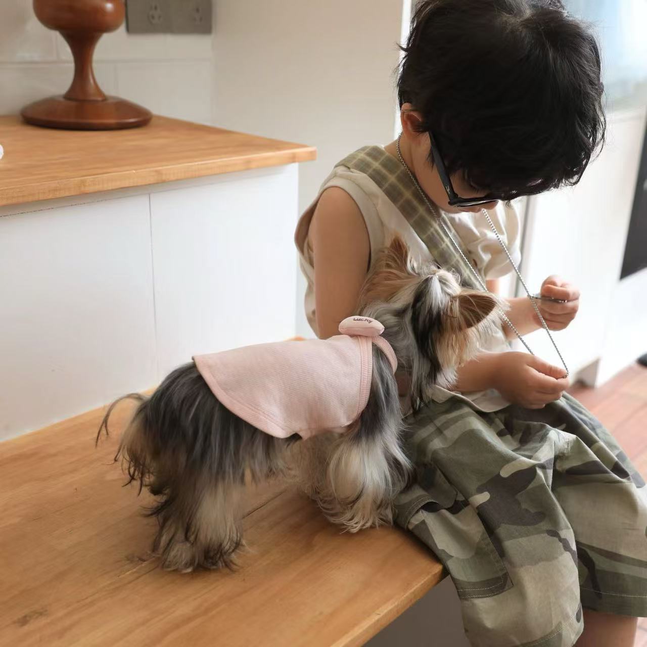 T00415 Pet clothes autumn and winter lace lamb fleece warm two-legged skirt Yorkshire Maltese pet clothes