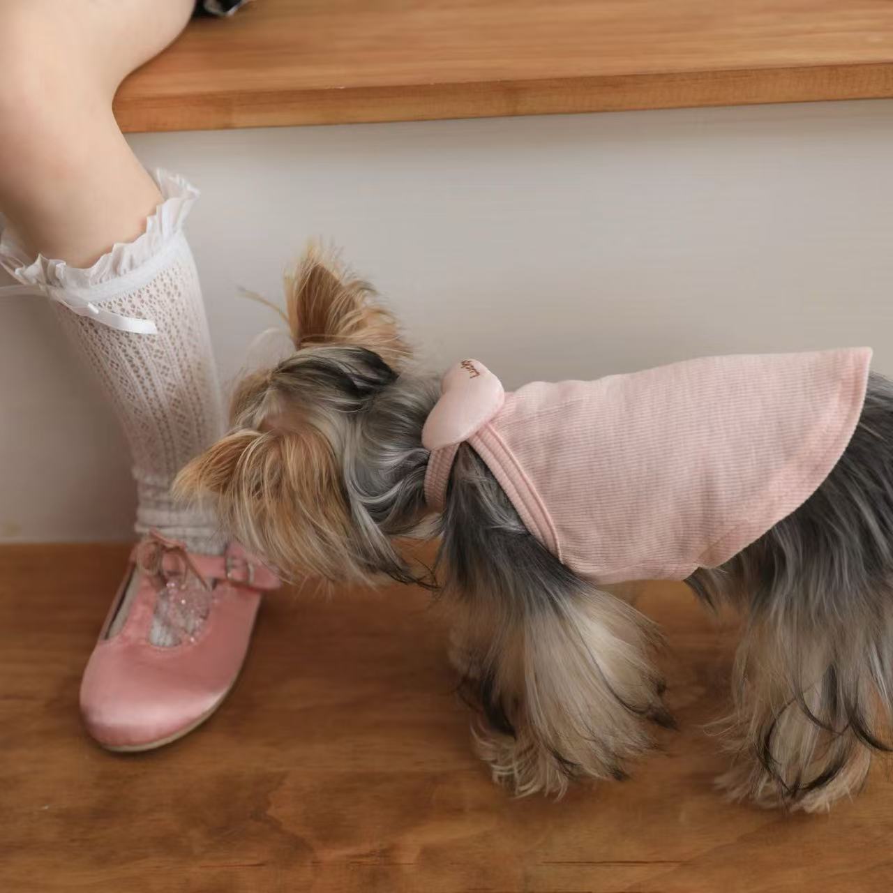 T00411 Cotton soft bow print bottom pet mesh flying sleeves cat dog Bichon Yorkshire pet clothes