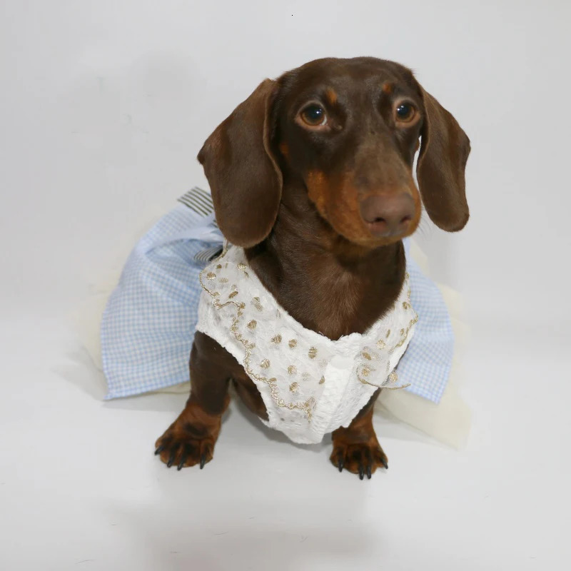 Sausage Dog Dresses for Small Puppy Clothes Summer Princess Pet Girl Female Badger Dogs Lace Skirt Apparel Dachshund 250609