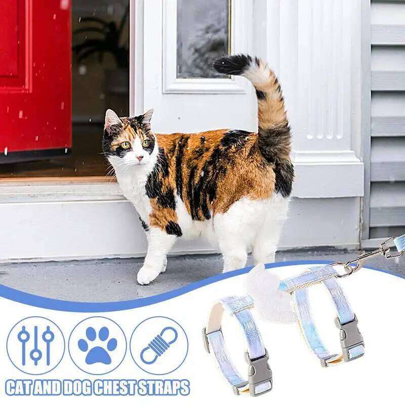 Vest Strap Comfortable And Flexible Harness With Angel Wings Dog Apparel Accessories For