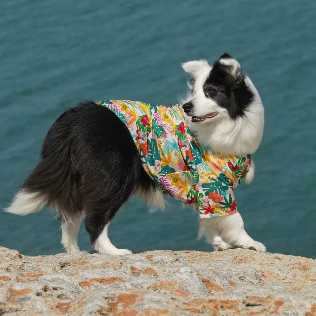T00422 Spring and summer thin Hawaiian dog shirt breathable golden retriever border collie labrador shiba inu schnauzer satsuma