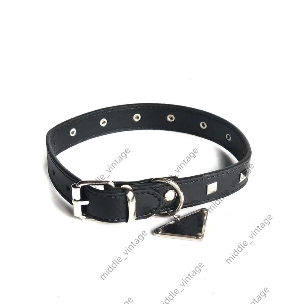 Pet Pomeranian Corgi Designer Style Dog Cat French Bulldog Leash Rivet Trendy Inverted Triangle Collar Pet Traction Rope