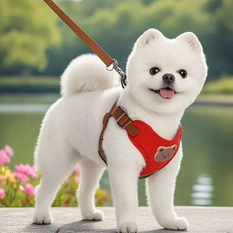Dog Harness Chest Strap Dogs Collars Pet Vests Accessories Pets Collar Leash Set Puppy Leather