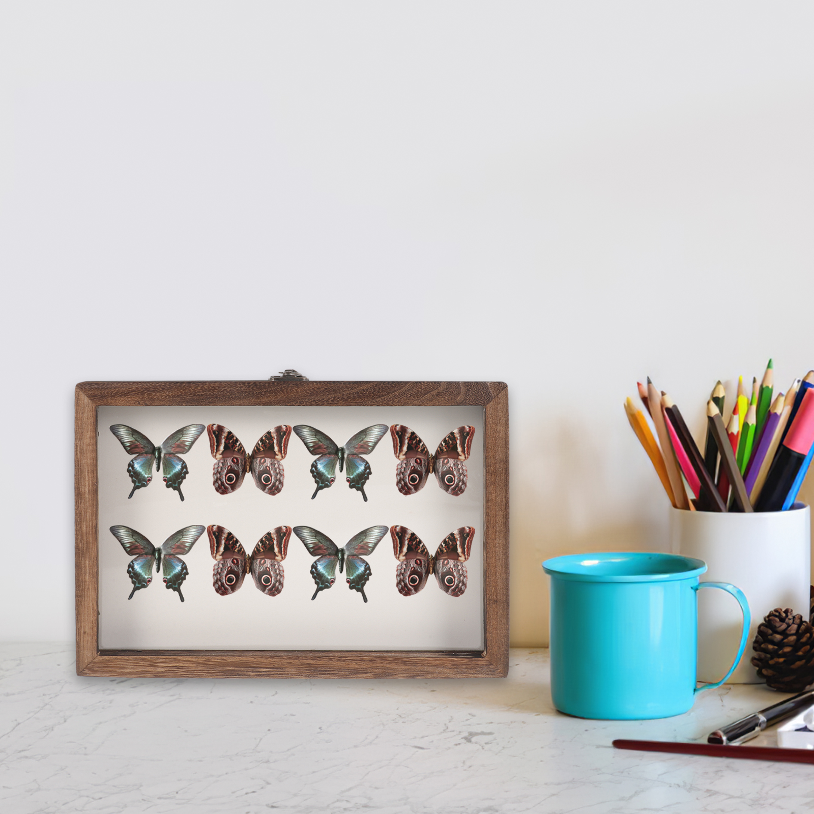 Butterfly Specimen Display Box Butterflies Case Dried Flowers Insect Holder Photo Frame H260306