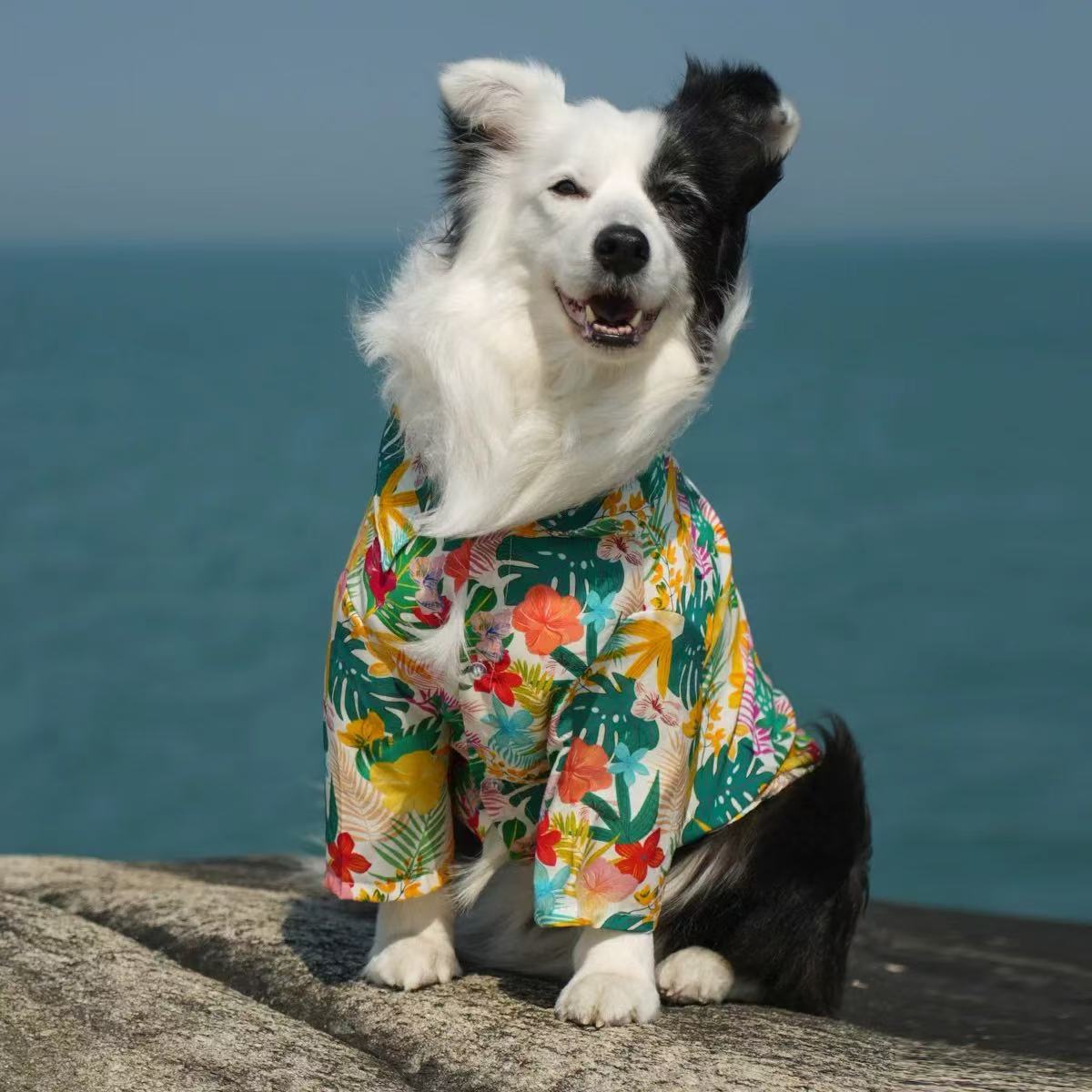 T00422 Spring and summer thin Hawaiian dog shirt breathable golden retriever border collie labrador shiba inu schnauzer satsuma