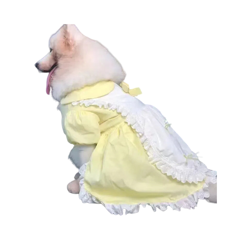 Large Dog Princess Dress - Yellow Ruffle Handmade Pet Gown for Samoyed