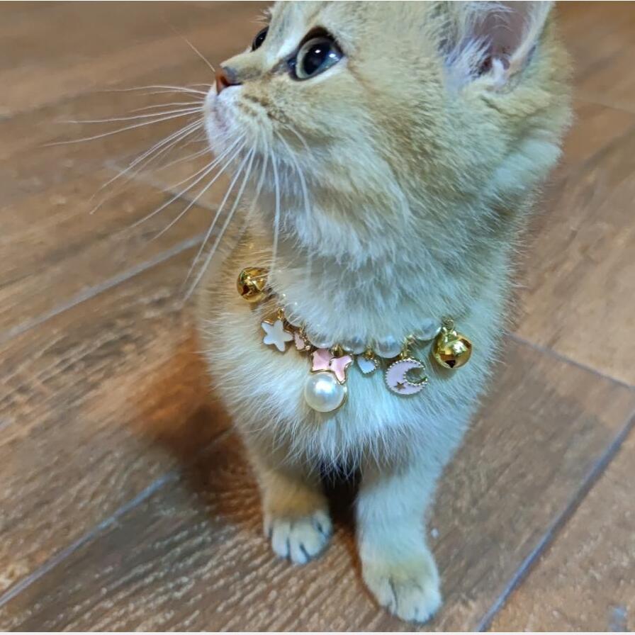 Dog Pearl Collars Princess Small Bell Necklace Pet Fashion Charm Necklace Dog Cute Collar Puppy Accessories Cat Jewelry Neck Strap for Dog Cat M B132