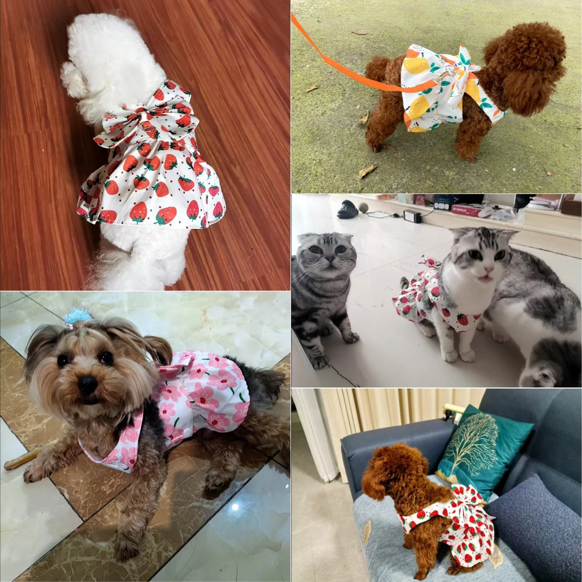 Spring Summer Cute Pet Dog Dress Free Leash Princess Kitten Skirt for Small Medium Dogs Puppy Cat Chihuahua Clothes 250609