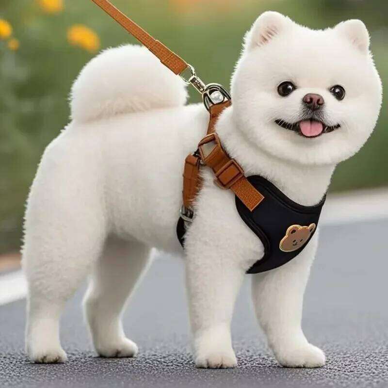 Dog Harness Chest Strap Dogs Collars Pet Vests Accessories Pets Collar Leash Set Puppy Leather