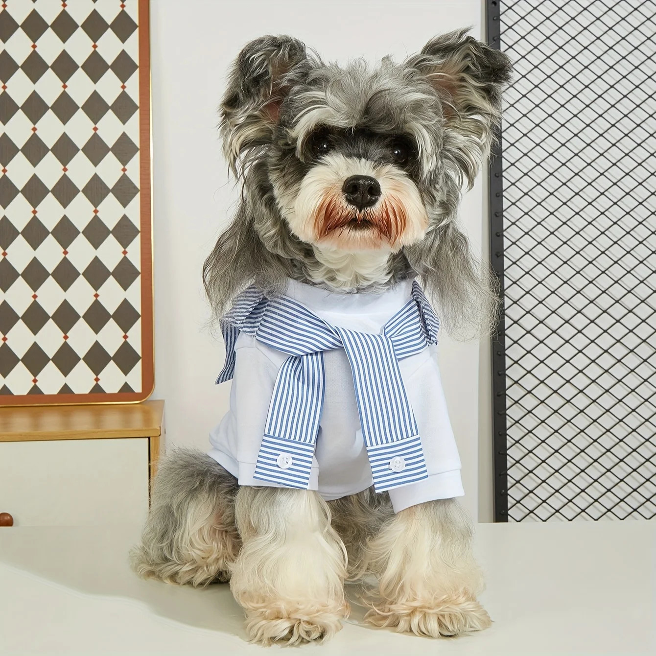 Summer Dog Clothes Casual Versatile Tshirt Suitable for Small Medium Dogs Chihuahua French Bulldog Pet Shirt 250609